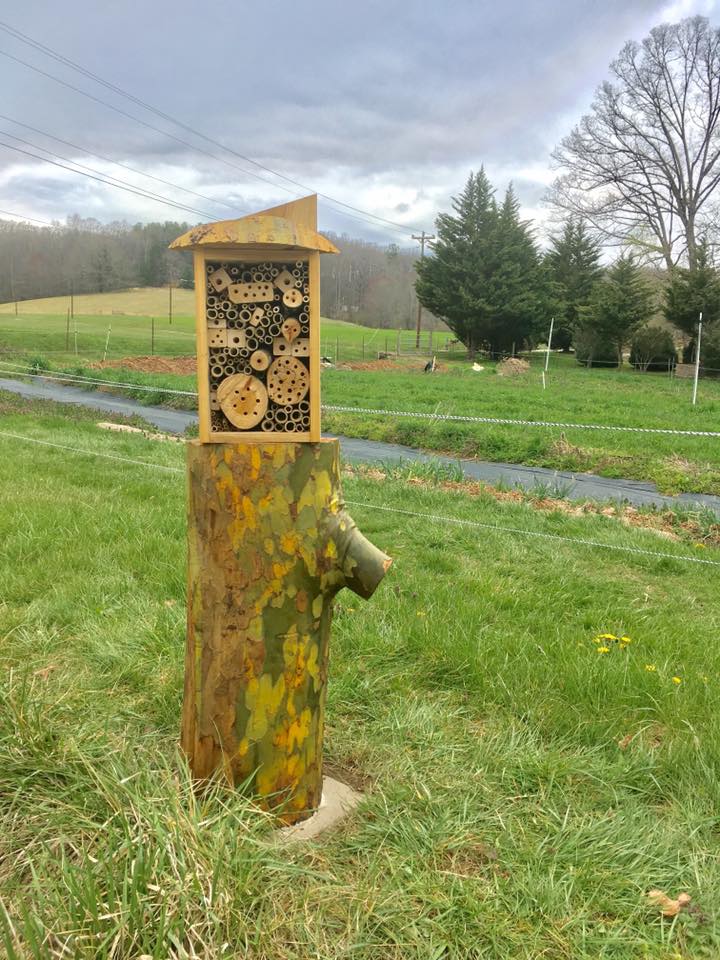 Mason/leafcutter bee housing at Living Web Farms in Mills River, NC