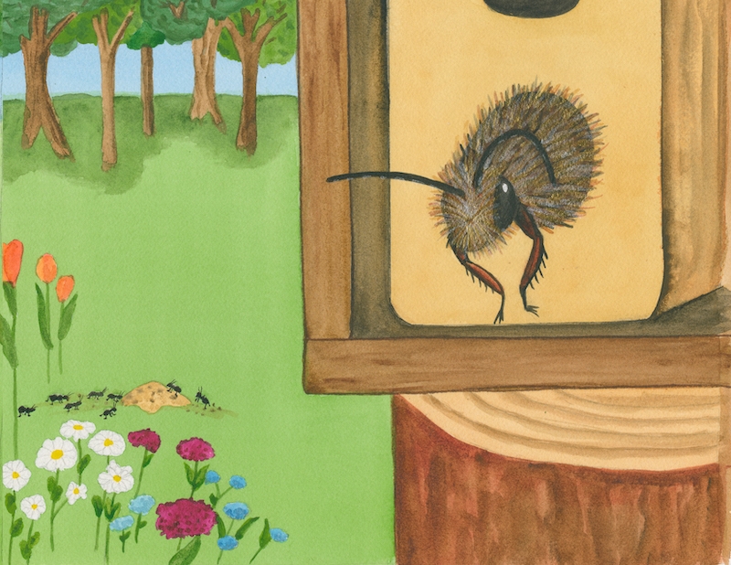 An illustration of a bee in a native bee house with a wildflower garden in the background from Sprigggly's Beescaping's book