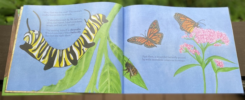 Monarch Caterpillar spread from Finding Home: A Story of a Mason Bee