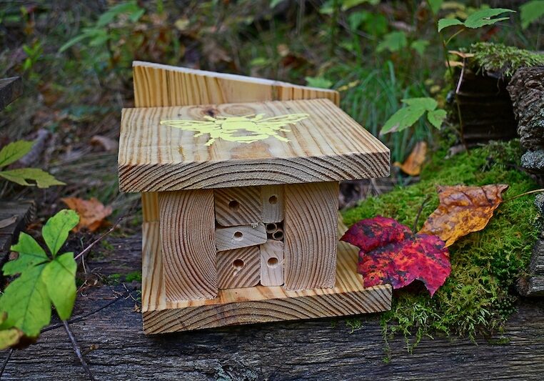 bee housing unit for native bees with leaves during fall
