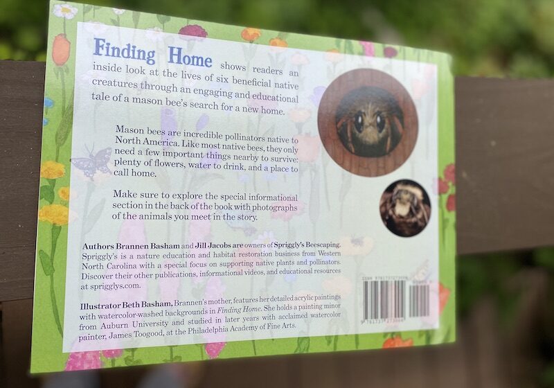 Back cover of Finding Home: A Story of a Mason Bee by Spriggly's Beescaping
