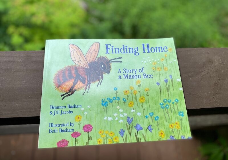 Finding Home: A Story of a Mason Bee Book