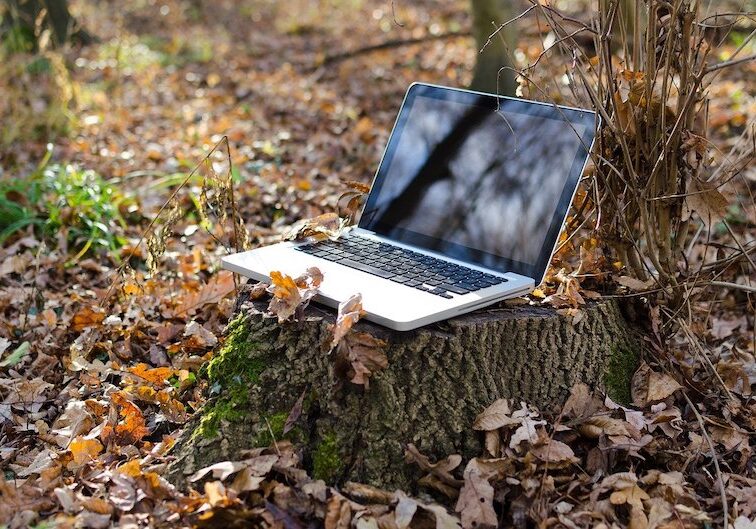 Laptop sitting on a stump outside