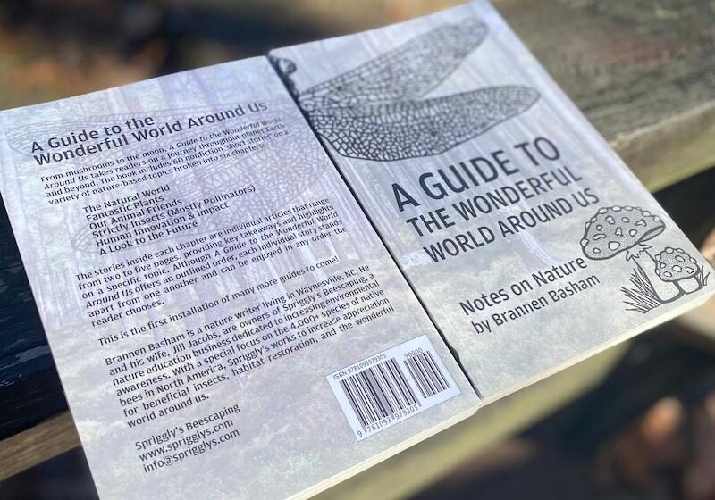 A Guide to the Wonderful World Around Us front and back of the book